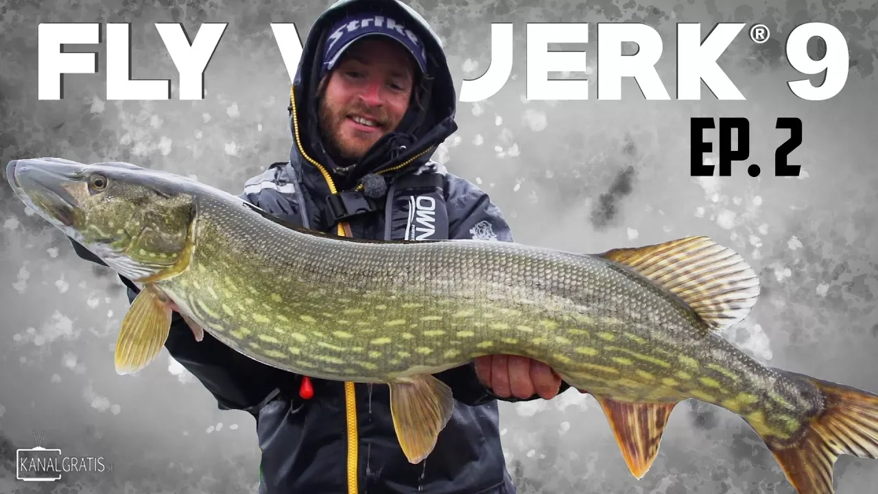 video Fly vs Jerk 9