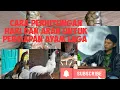 Download Lagu cara menghitung dan menentukan hari baik untuk adu ayam,cara memberikan ayam timbul agar menang laga