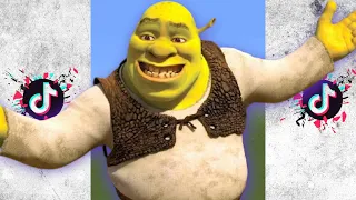 tik tok minecraft memes compilation 18