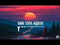 Download Lagu See You Again (Remix) | Tiktok China Music | Douyin Music | DNTMUSIC