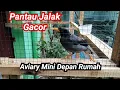 Download Lagu Gacor Starling Night Check Mini Aviary in Front of House 🔥