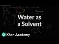 Water as a solvent Water acids and bases Biology Khan Academy