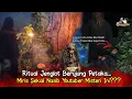 Lagu TELAT 1 DETIK SAJA AUTO LEWAT ! RITUAL JENGLOT BERUJUNG PETAKA BESAR 