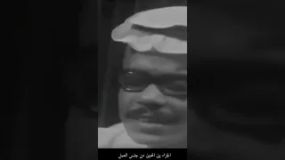 طلال مداح الرجا بالله قوي ما يخيب من رجاه اليمن السعودية اكسبلور طرب 