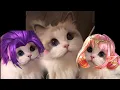 MLBB cat profile pictures 50 0 - 0