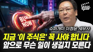 앞으로 '이 주식' 무섭게 오른다, 조정 올 때마다 사 모아가세요 (슈퍼개미 이정윤 세무사)