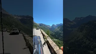 Take this as your sign to explore the wild side 🌿