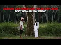 Lagu MENOLONG GADIS BUNIAN SAAT PULANG DARI LADANG DI BERI IMBALAN BANYAK - Cerita Mistis - Cerita Horor