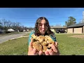 How Much our Morels Grew in 11 days MOREL Mushroom UPDATE 2026