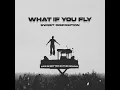 What If You Fly (Sweet Disposition) - BUNT. & The Temper Trap