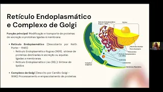 Eucariotos