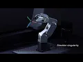 What are robot singularities