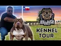 This Texas XL Bully Kennel Blew My Mind Bull - Rose Kennels