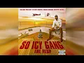 BigWalkDog ft Gucci Mane - Know What I Mean (Bass Boosted)