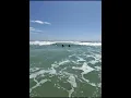 SURFING BOLSA CHICA