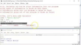 Python Input Output Variables Data Types