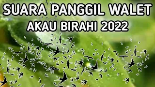 Download SUARA PANGGIL WALET - AKAU BIRAHI 2022 MP3