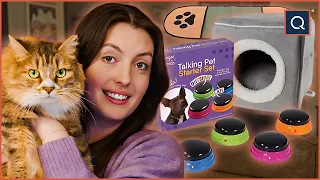 I Spent 200 on My Pets at QVC