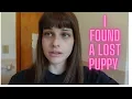 I found a stray puppy this week