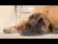 Download Lagu Bescherm jezelf, ook al is je huid gebruind: Anthelios | La Roche-Posay NL