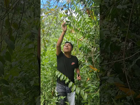 Acompañenme en este nuevo video