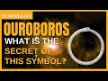 Download Lagu What Does the Ouroboros Really Mean? | SymbolSage