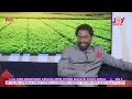 JoyPrime Live