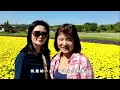 慶幸有你愛我  (蔡淳佳) (4K 5.1聲道)