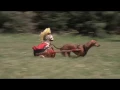 Top 10 favorite gifs of dogs