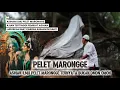 Download Lagu GANASNYA PELET MARONGGE..! Banyak Diburu Peziarah Yang Memiliki Kesulitan Untuk Mencari Petunjuk