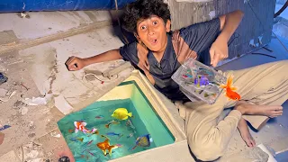 FOUND COLORFULL FISHES IN MY WATER TANK!