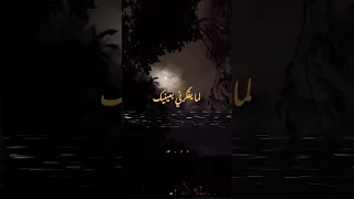 وغلبني فضل شاكر 