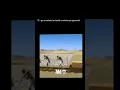 Download Lagu i whould do it 🗣️ #rattle #funnyimages #forfun #capcut #funny