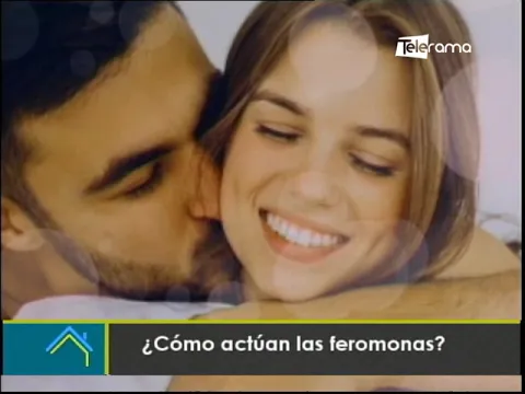 ¿Cómo actúan las feromonas?