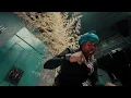 RajahWild - Pretty Face (Official Music Video) | Story Book Riddim