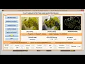 Plant Disease Detection and Classification Using Image Processing Matlab Project Code