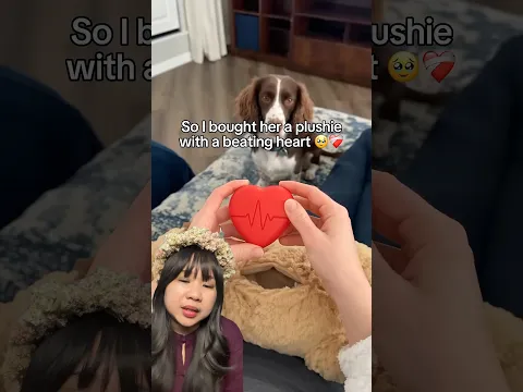 GUGUK SENENG ADA TEMEN BOBOK 🥰 | Skolastika Adriana #shorts
