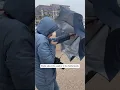 Briefly about the weather in the Netherlands
