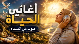                                                                     دندنها
