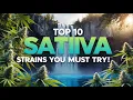 Top 10 Sativa Strains You Must Try