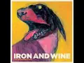 Iron and Wine - Boy With a Coin