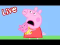 Download Lagu Peppa Pig BABY Afleveringen LIVE 🍼 De schattigste baby's van Peppa Pig! 🥹 Bekijk EVIE nu! 💛 Kindercartoons