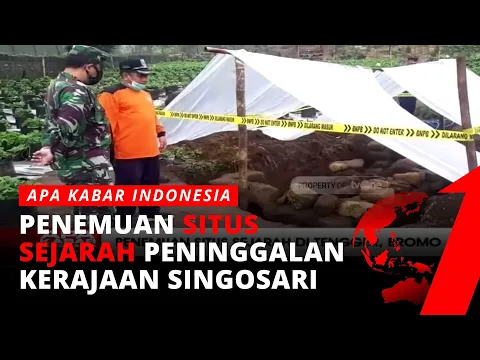Penemuan Situs Sejarah di Tengah Kebun Strawberry di Tengger, Bromo