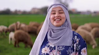 المنشده ندى محمود  عملت أنا راعي  دندنها