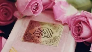 انشودة نور دربى بالقرآن   دندنها