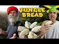 Download Lagu Tommy's JUNGLE BREAD (Super Ital, zonder zout!)