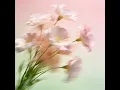 Please love yourself (请好好爱自己)