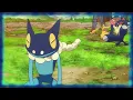 Froakie Evolve to Frogadier - Pokemon the Series XY
