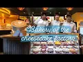How to work in the bakery of The Cheesecake Factory HongKong 101