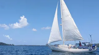 Is This Bluewater Sailboat right for me? Alberg 37